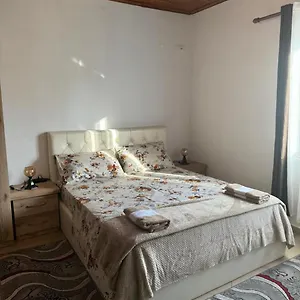 Zefi Rrenc Shkodër